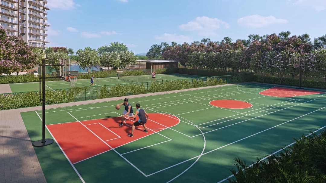 Basketball Court